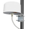 U 系列 5 GHz MiMO 全向天线