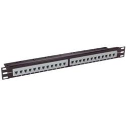 1.75in / 4.4cm 面板带 2个TDS2167-12 路 RJ45(8x8)桥接适配器的图片