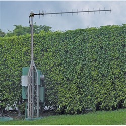 900 MHz 13 dBi不锈钢八木天线，配N型母头连接器的图片