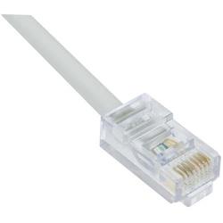 6类阻燃级跳线，RJ45/RJ45，白，1英尺（0.3米）的图片